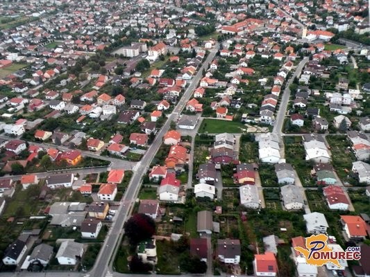 V Pomurju plače ne rastejo kot drugje po Sloveniji